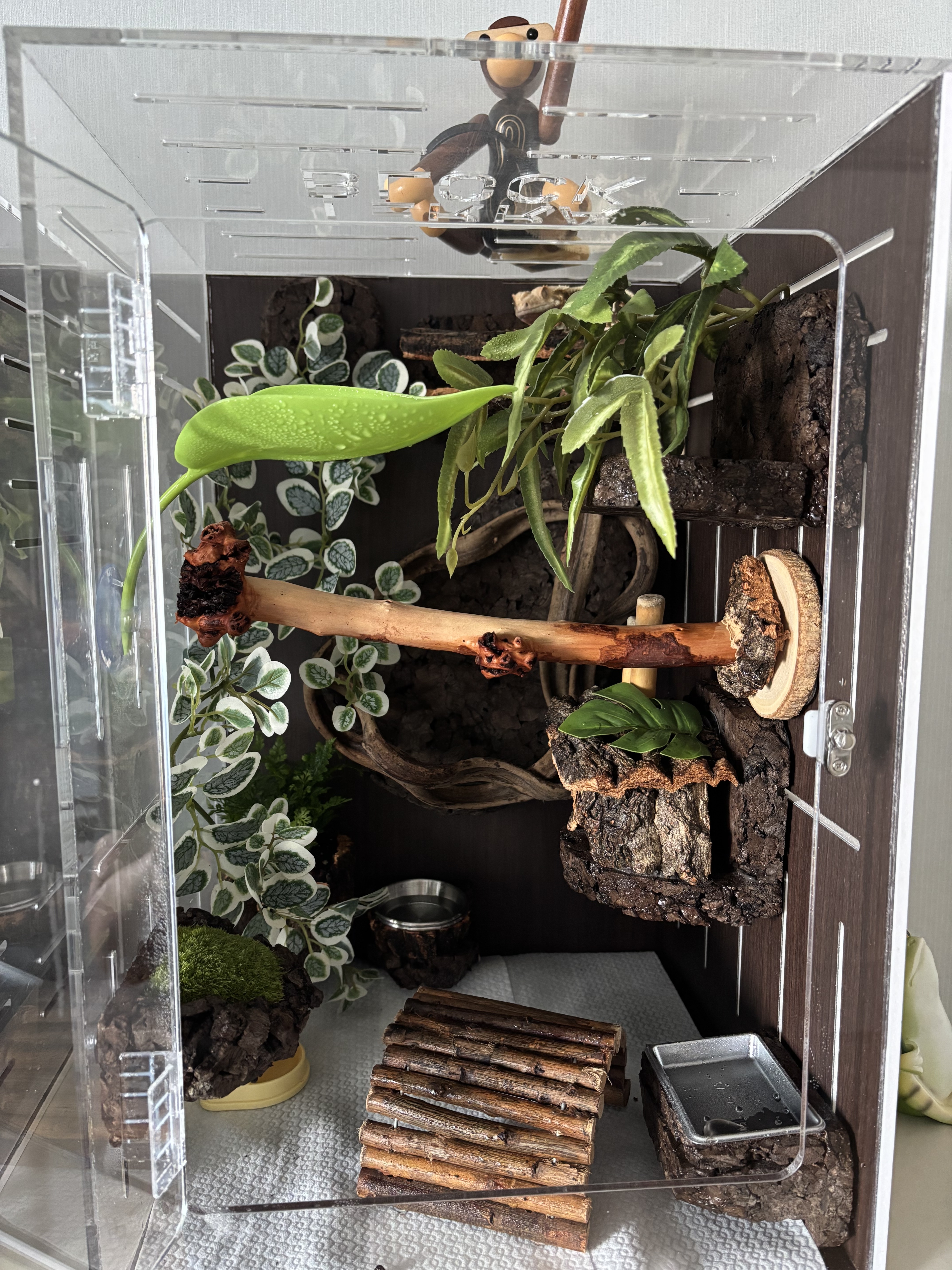 Terrablock Pouteris Bed Hide detail 6