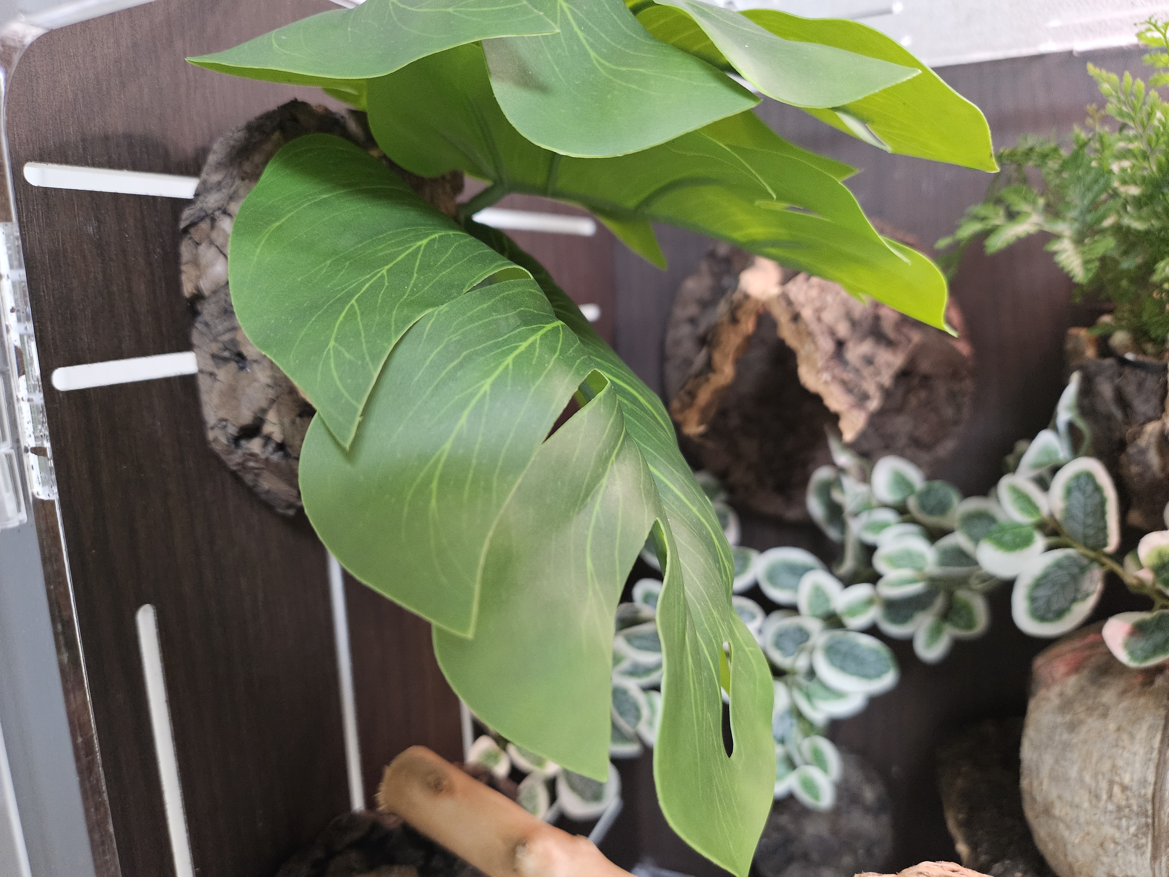 Terrablock Monstera Leaf Artificial Block detail 2