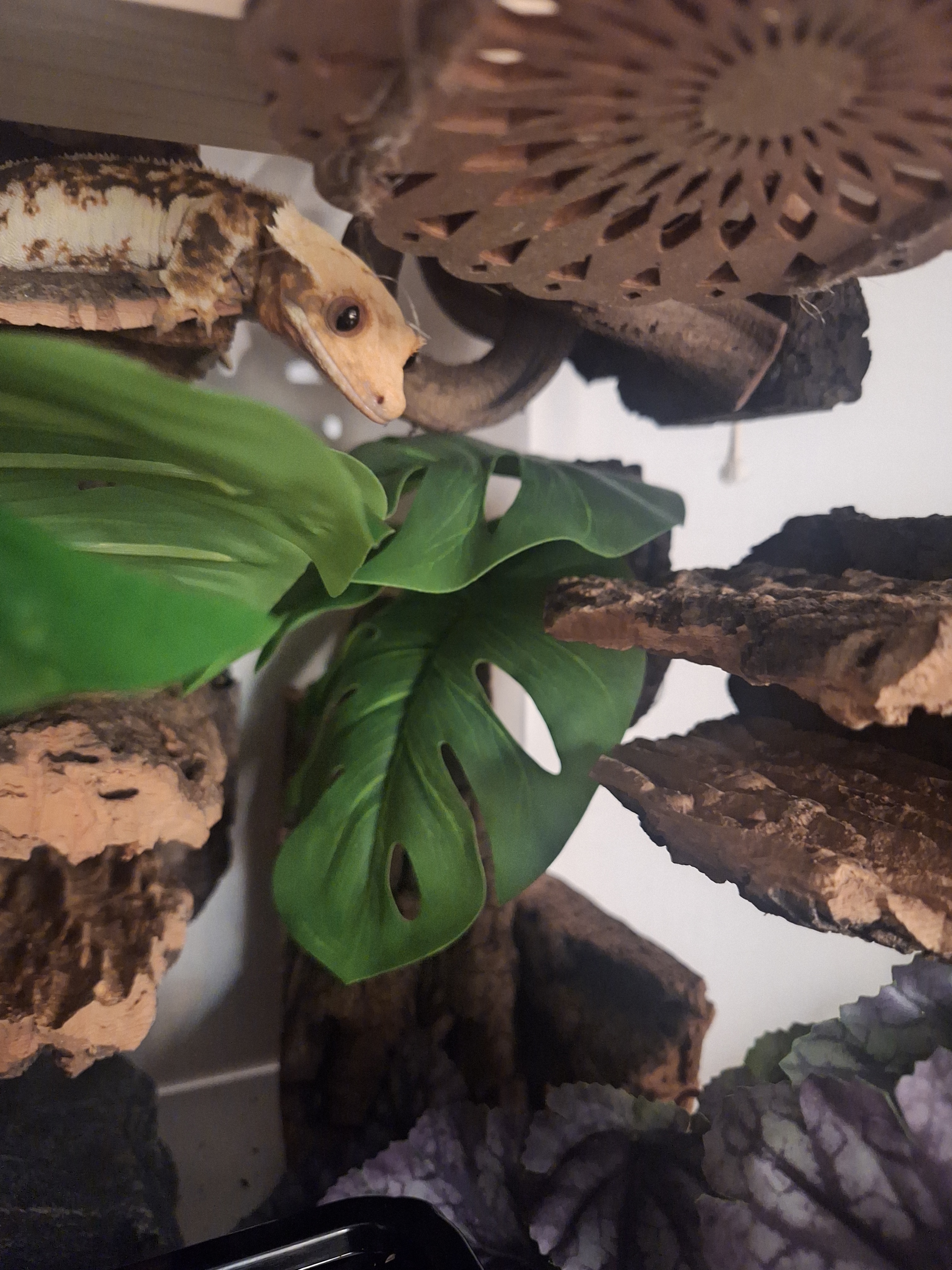 Terrablock Monstera Leaf Artificial Block detail 4