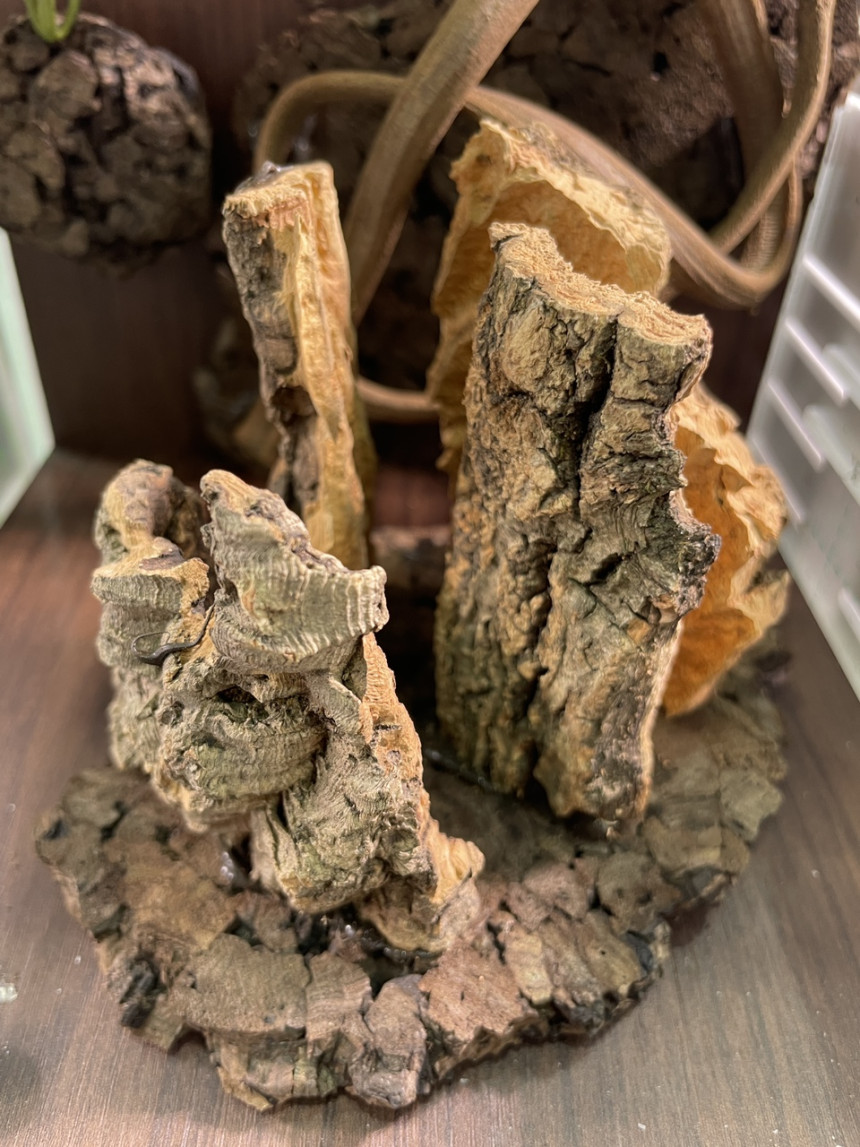 テラブロック 4段 アンバランス コルクシェルター detail 2