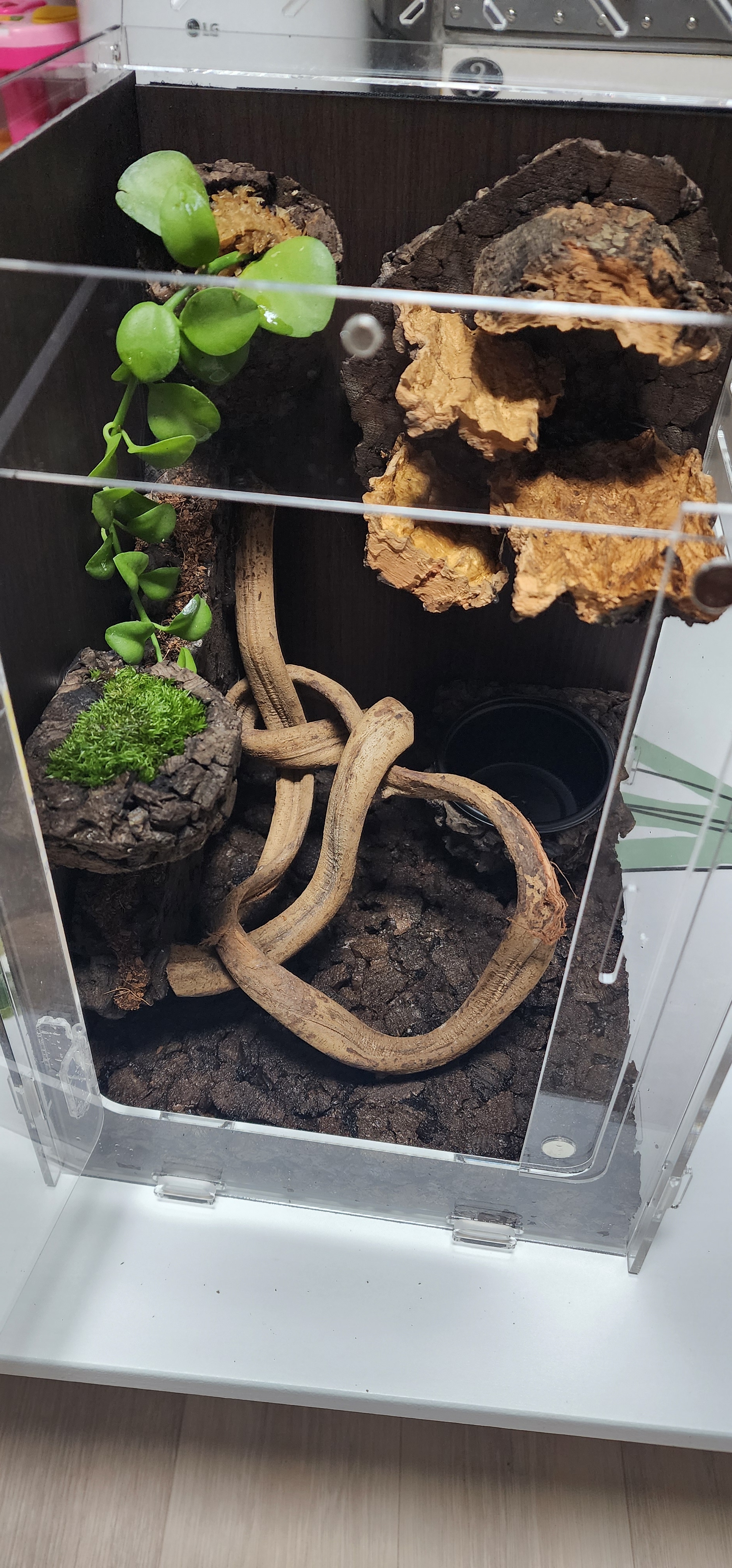 テラブロック 4段 アンバランス コルクシェルター detail 3