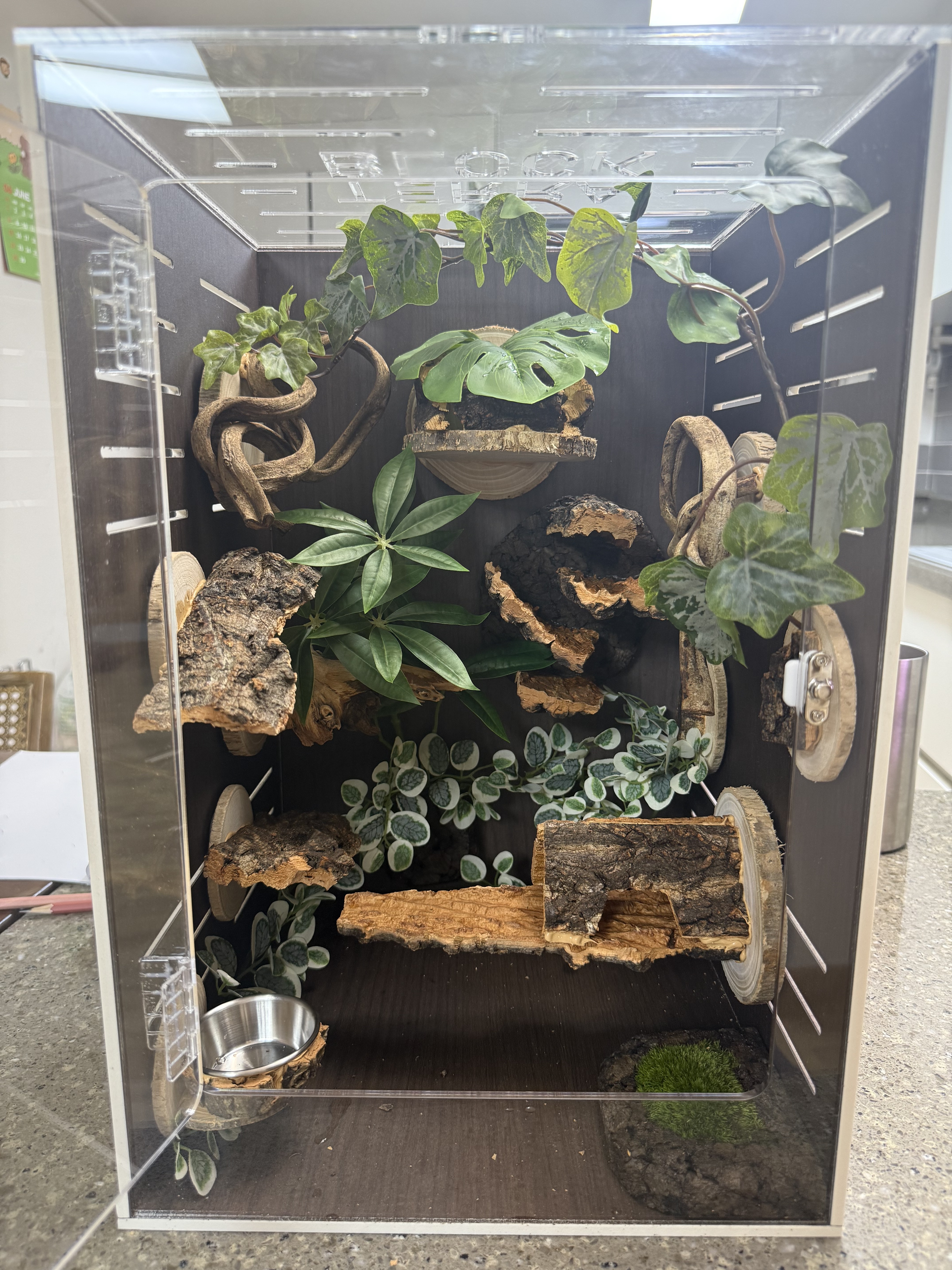 テラブロック 4段 アンバランス コルクシェルター detail 4