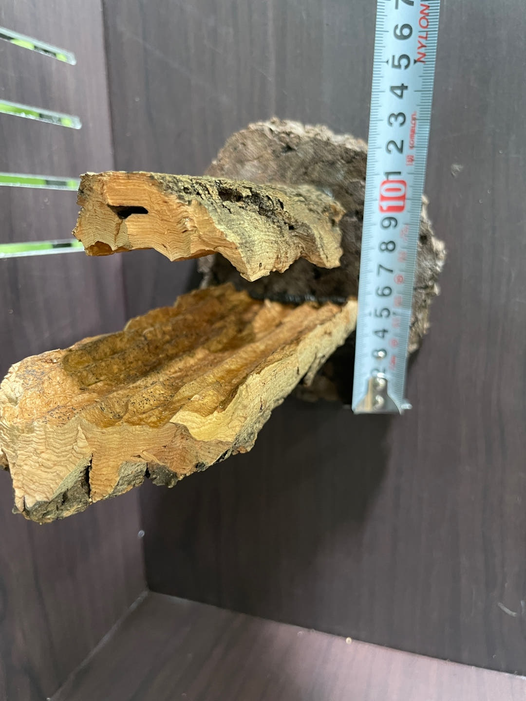 テラブロック ロングコルクボードシェルター detail 2