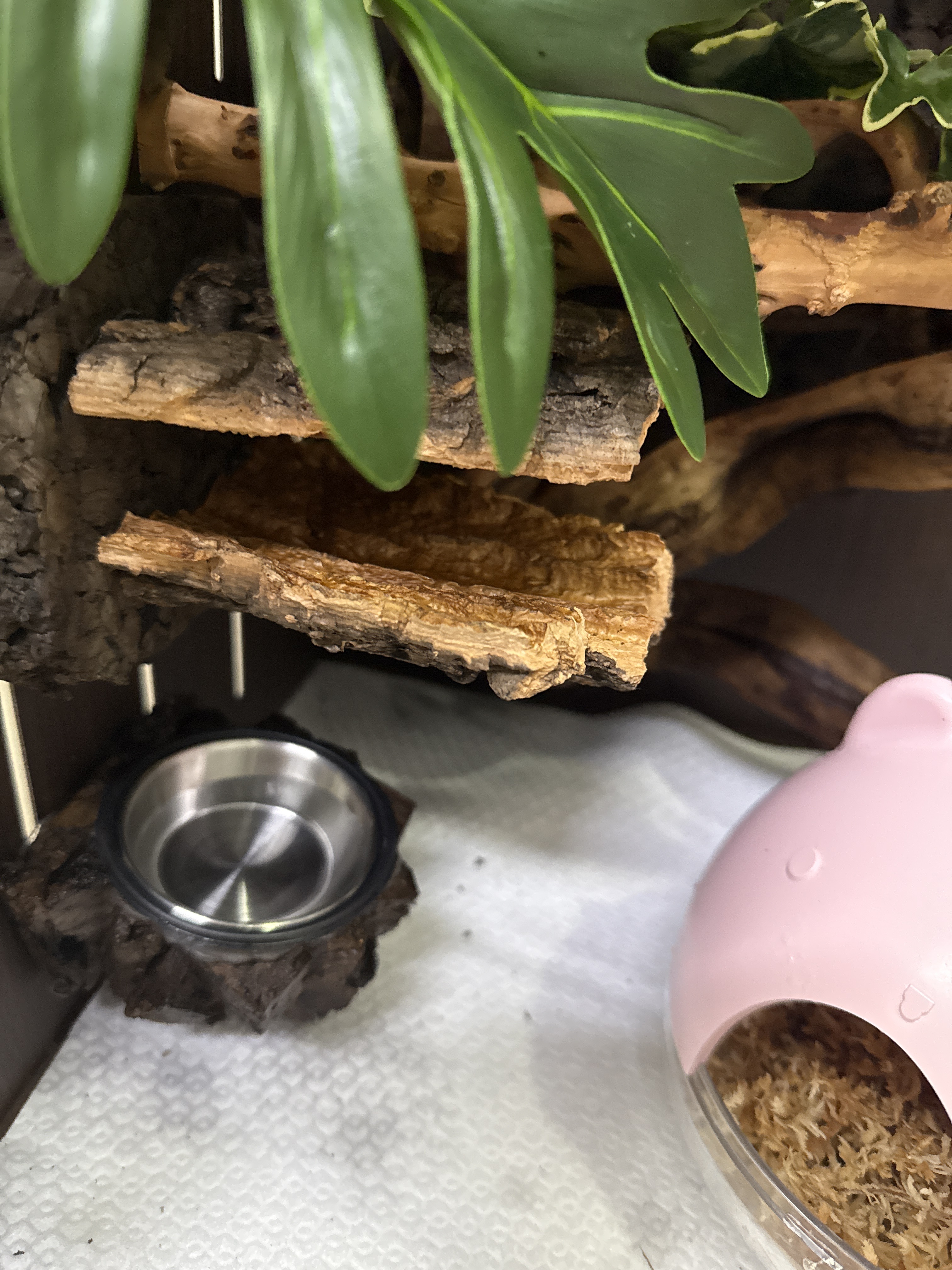 テラブロック ロングコルクボードシェルター detail 4