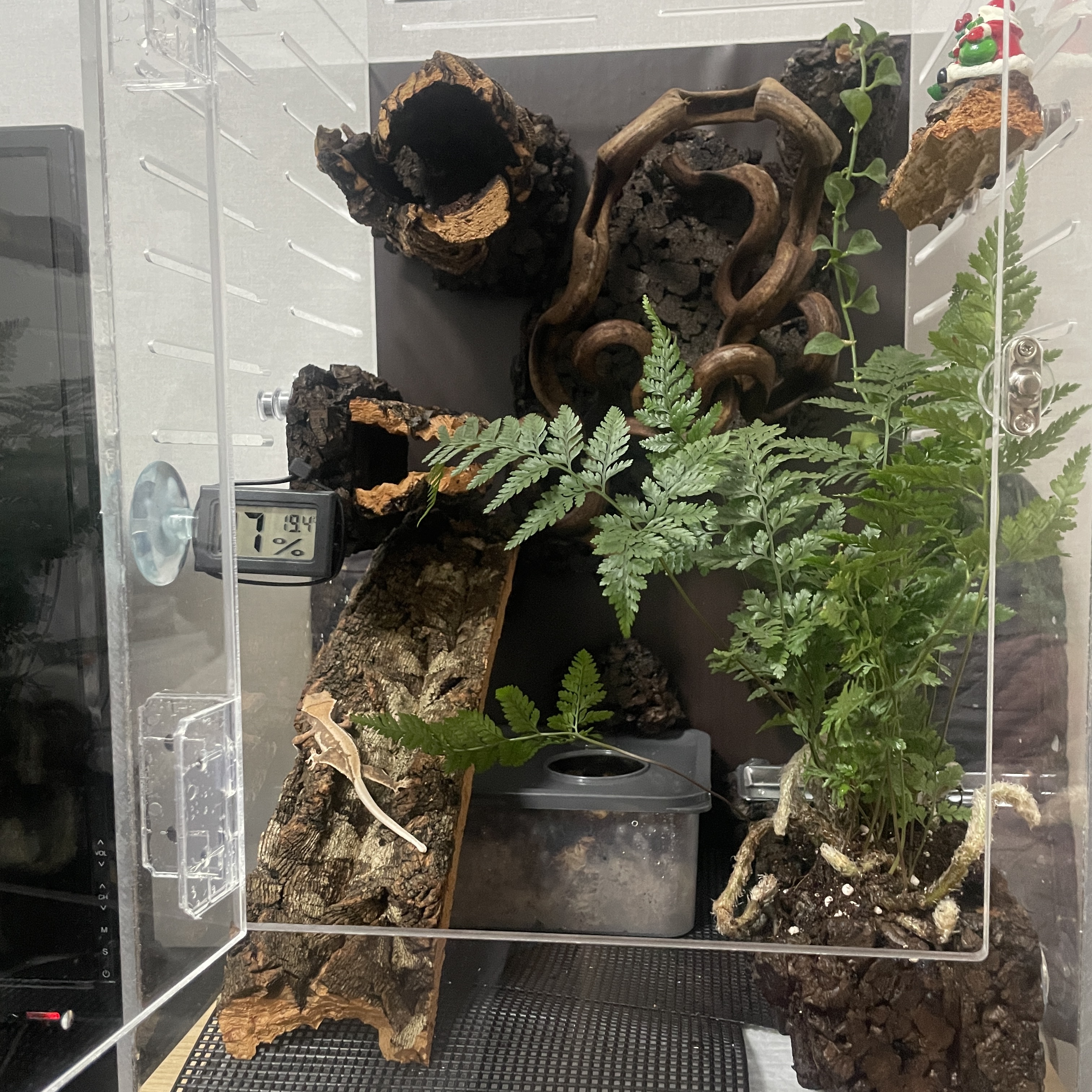 テラブロック ロングコルクボードシェルター detail 5