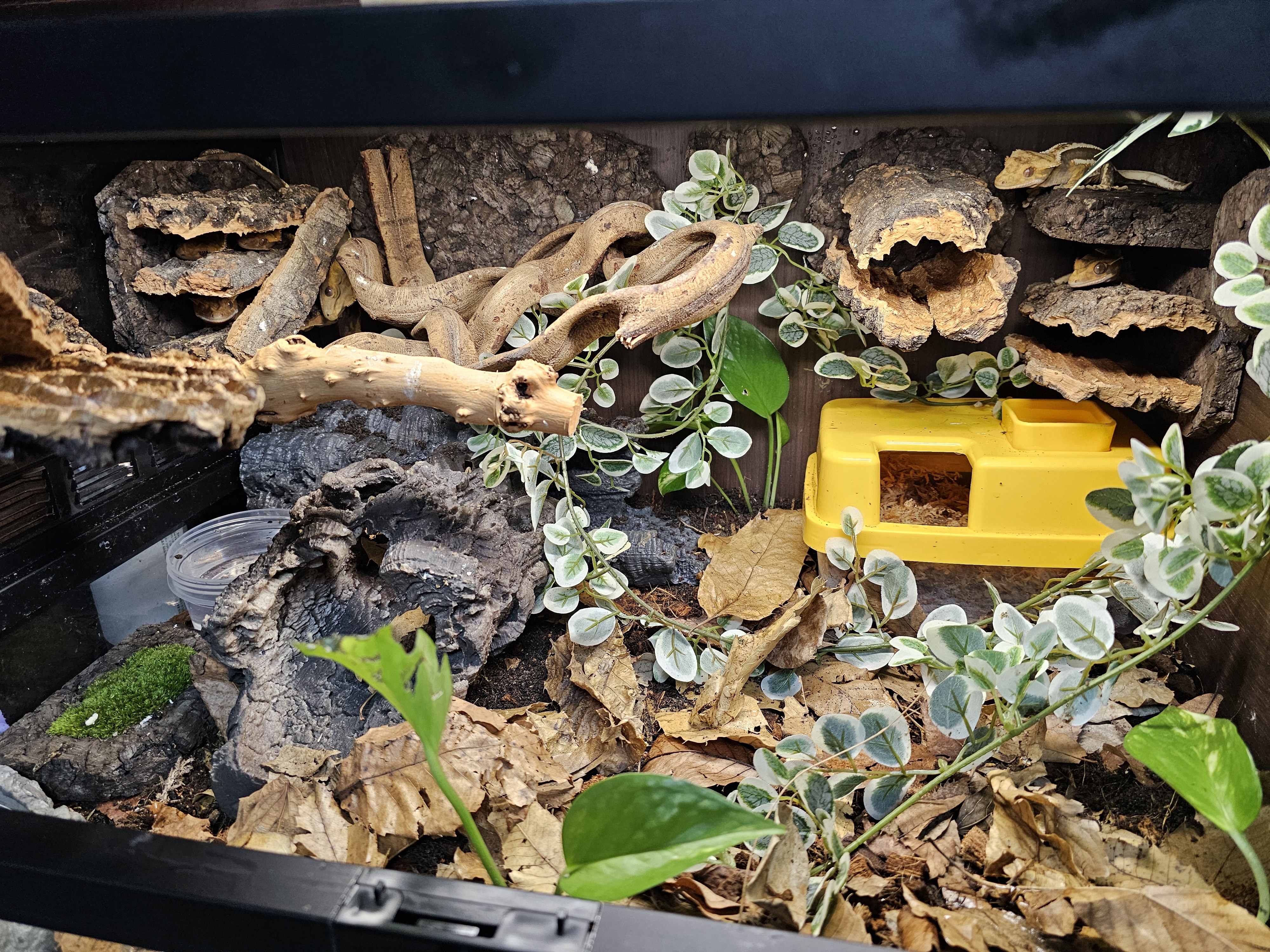 テラブロック ロングコルクボードシェルター detail 6