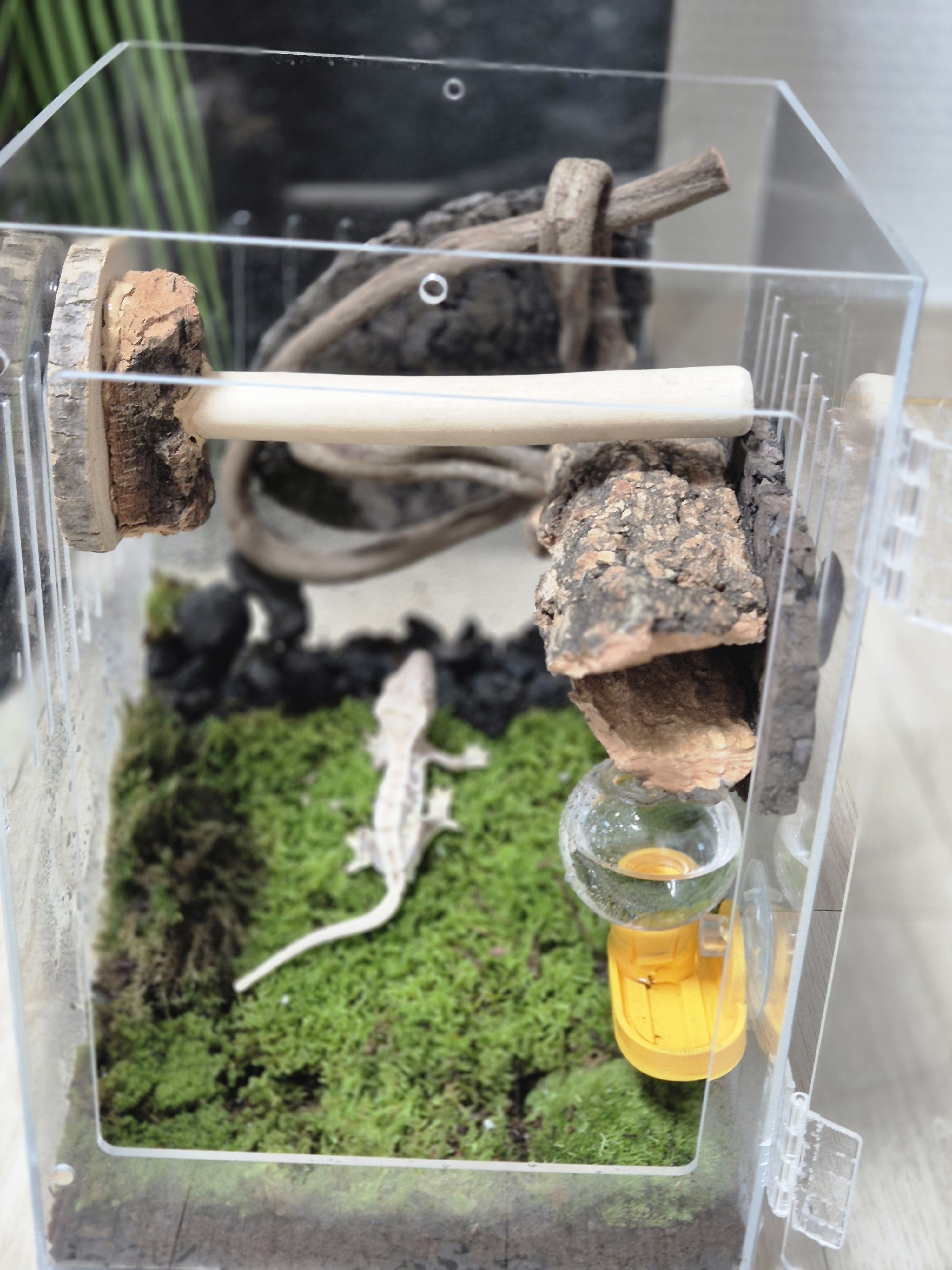 テラブロック ウッドライン 横向きブランチプラットフォーム detail 4