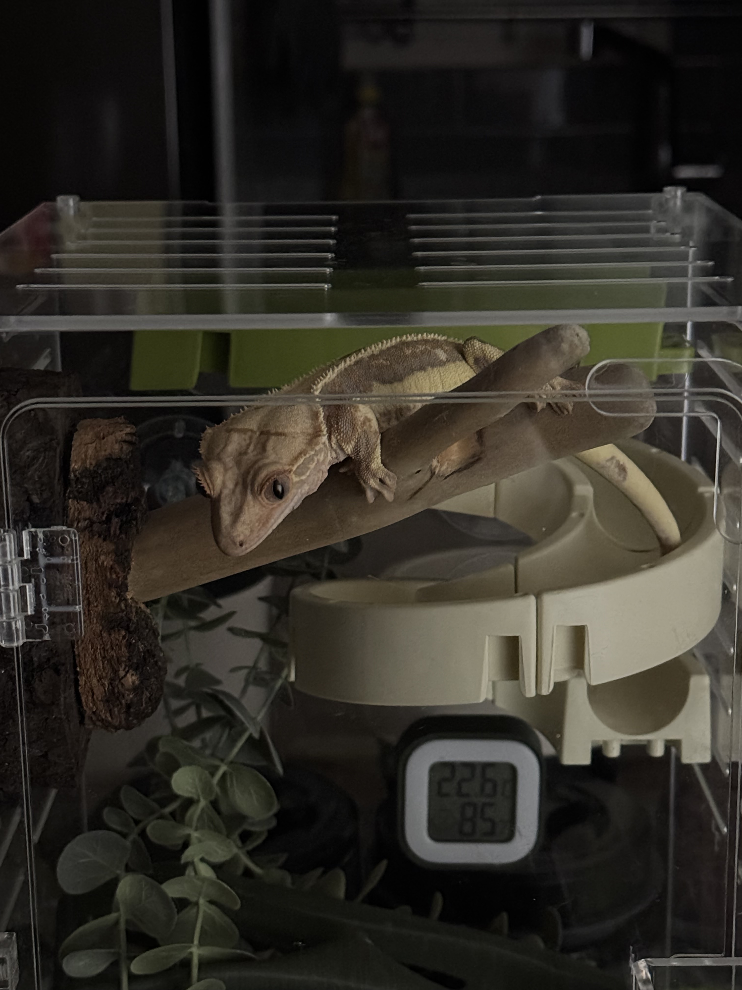 Terrablock Y-Shaped Branch Block detail 4