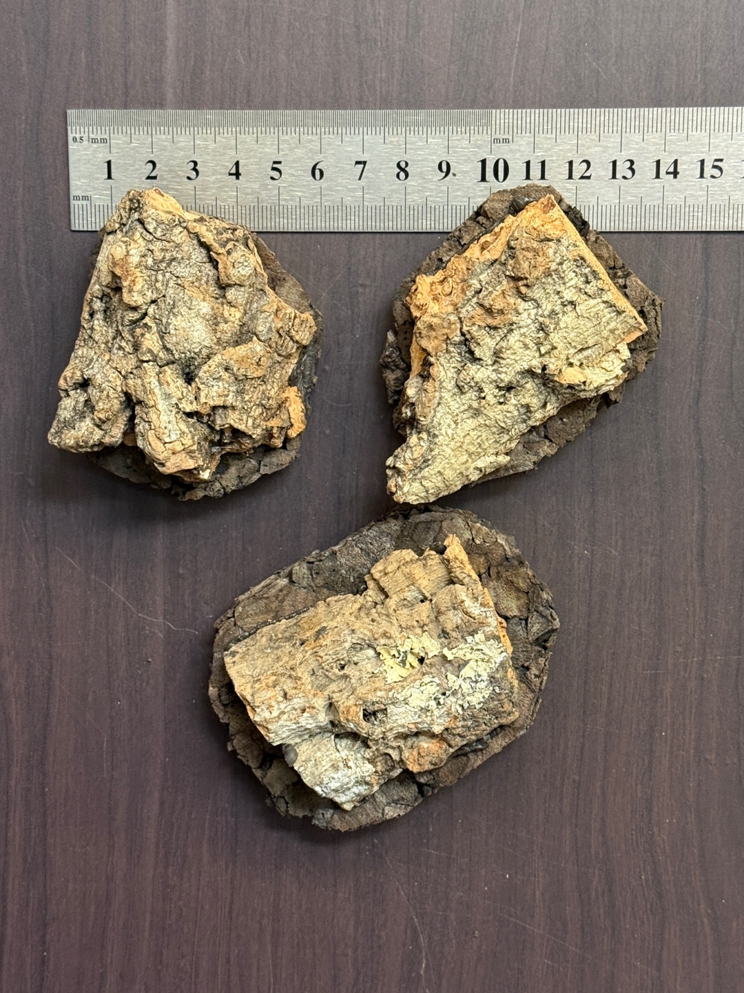 Terrablock Cork Mount Blocks – Set of 3 detail 1