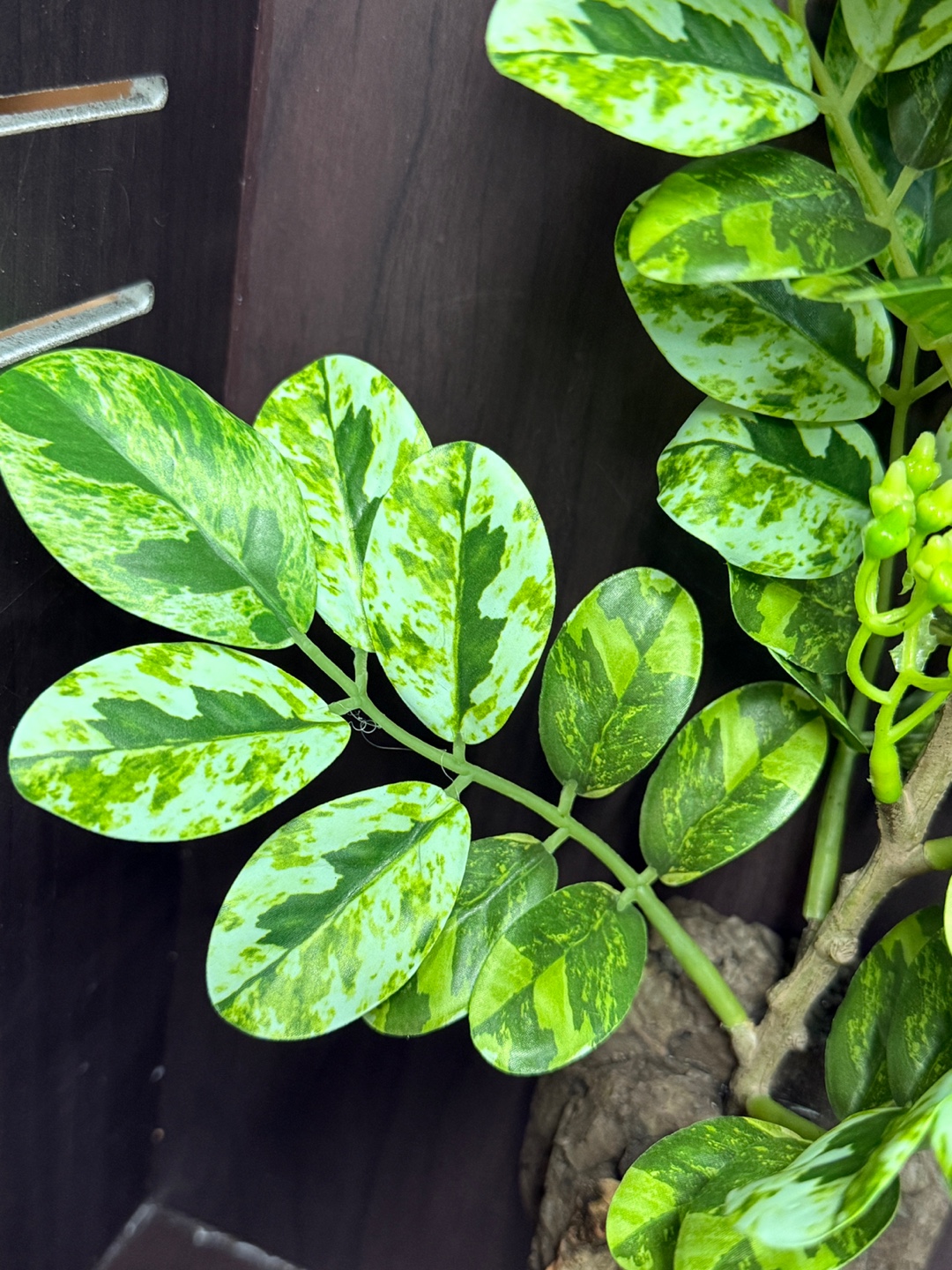 テラブロック オクバーツリー 造葉ブロック detail 2