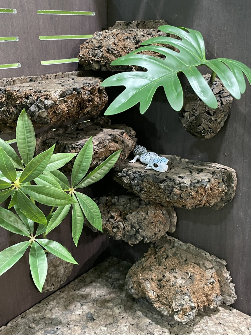 テラブロック パキラ造花ブロック detail 1