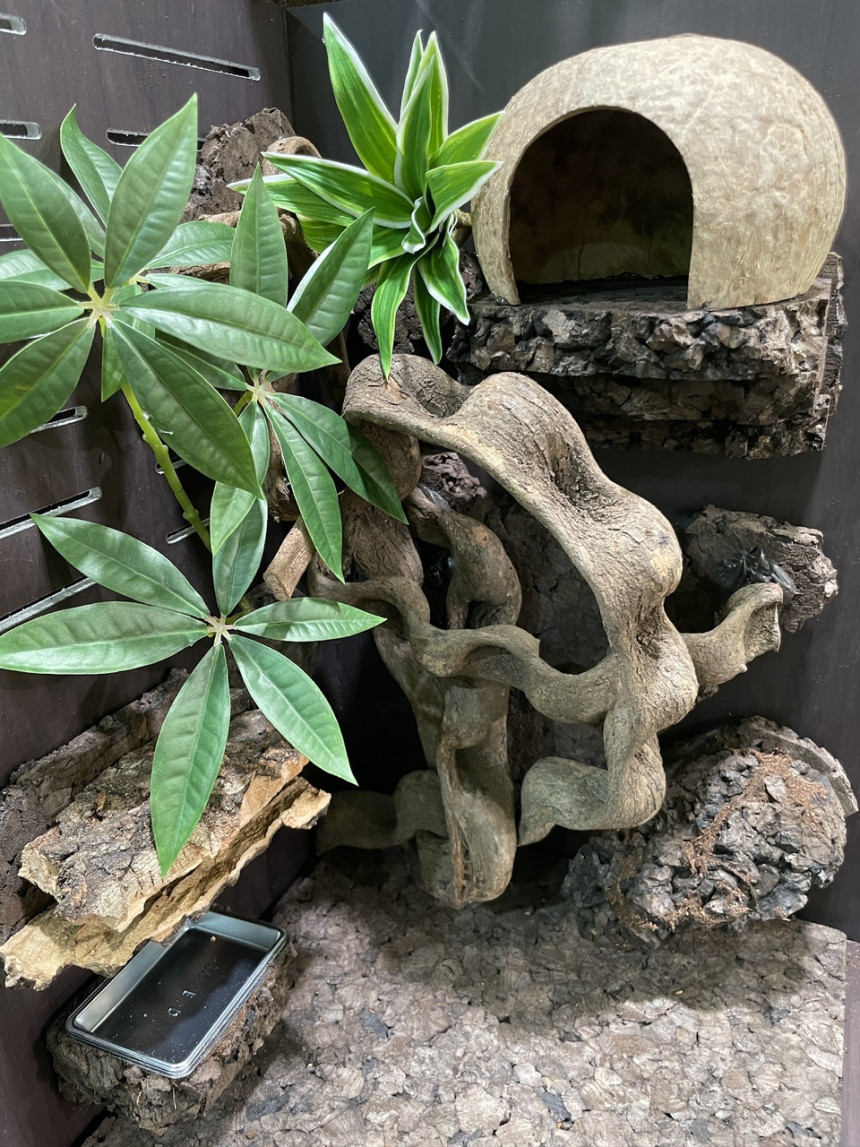 テラブロック パキラ造花ブロック detail 2