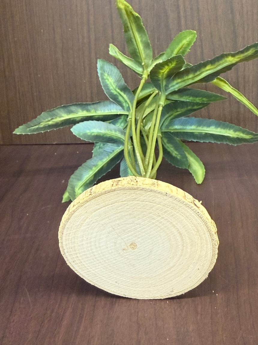 テラブロック サバンナツリー 人工ブロック detail 1