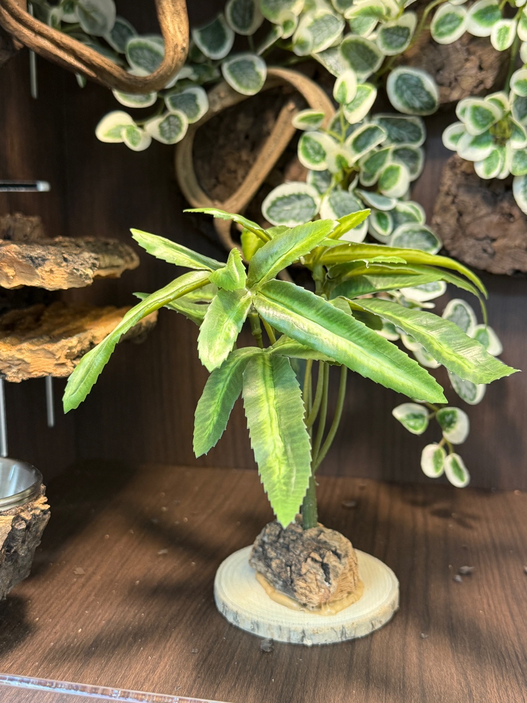 テラブロック サバンナツリー 人工ブロック detail 3