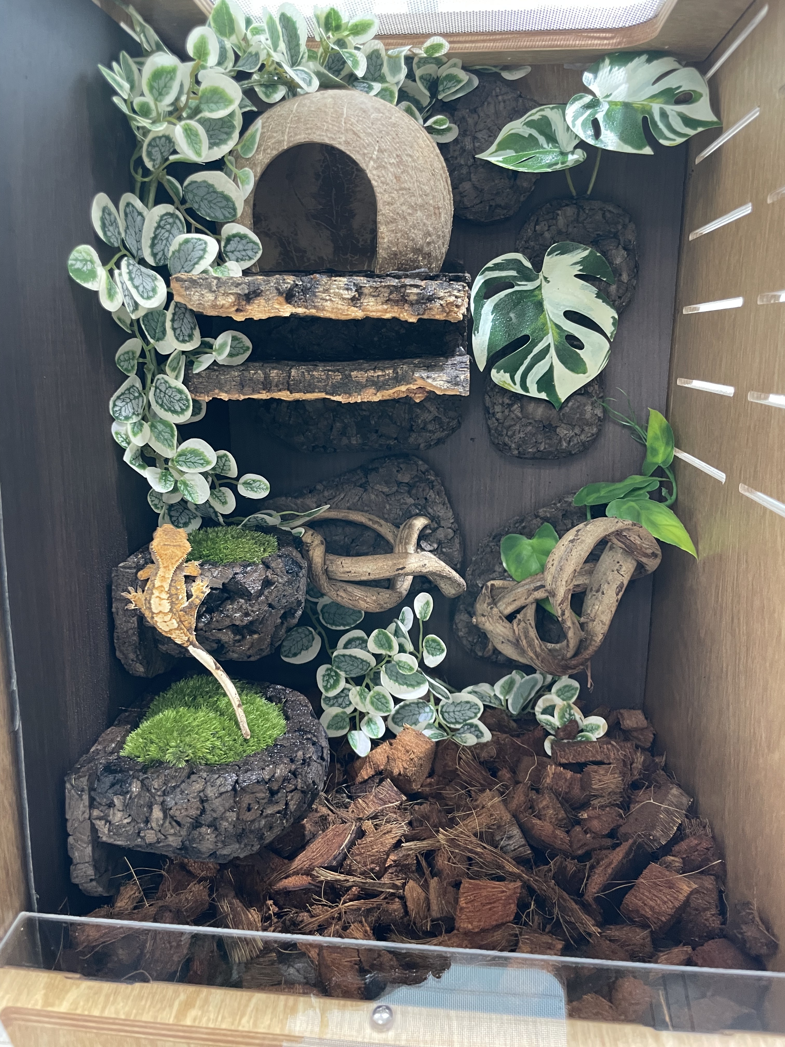 テラブロック ボタンリーフバイン ツル型フェイクグリーンブロック（小 / 中） detail 4