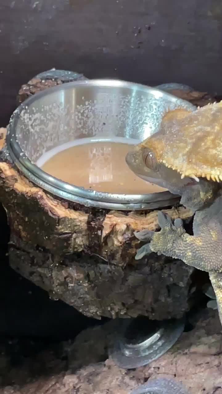 テラブロック ステンレス製エサ皿ブロック detail 4