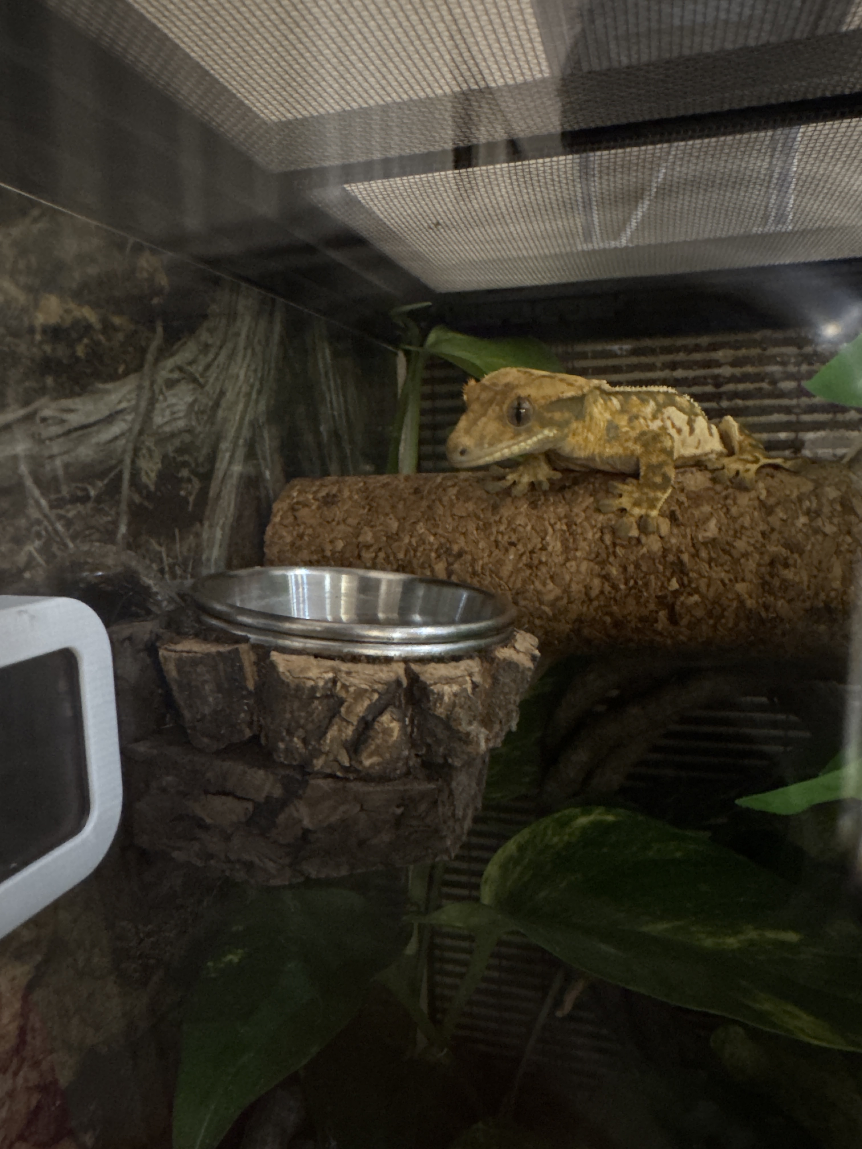 テラブロック ステンレス製エサ皿ブロック detail 5