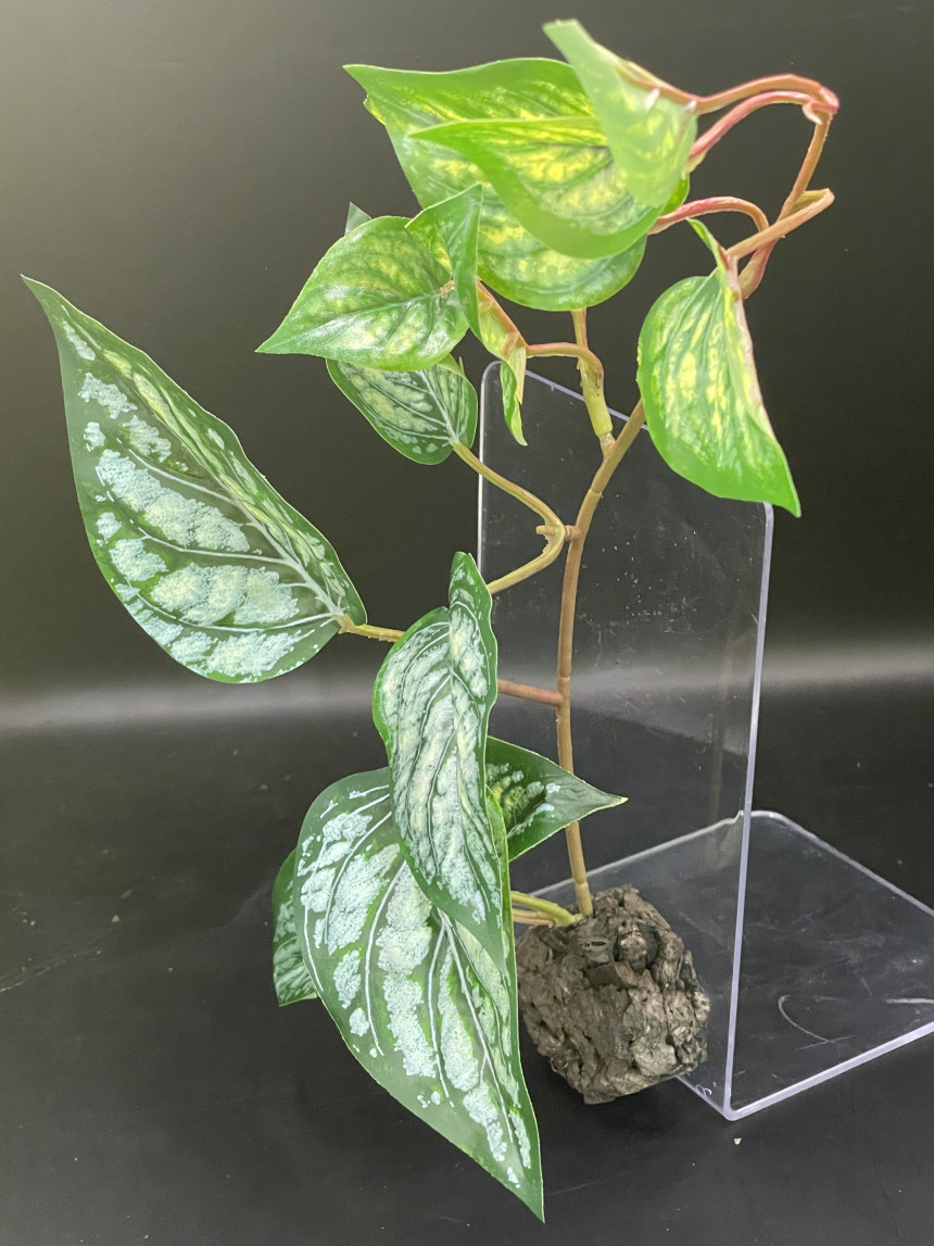 テラブロック フィロデンドロン 人工観葉ブロック detail 1