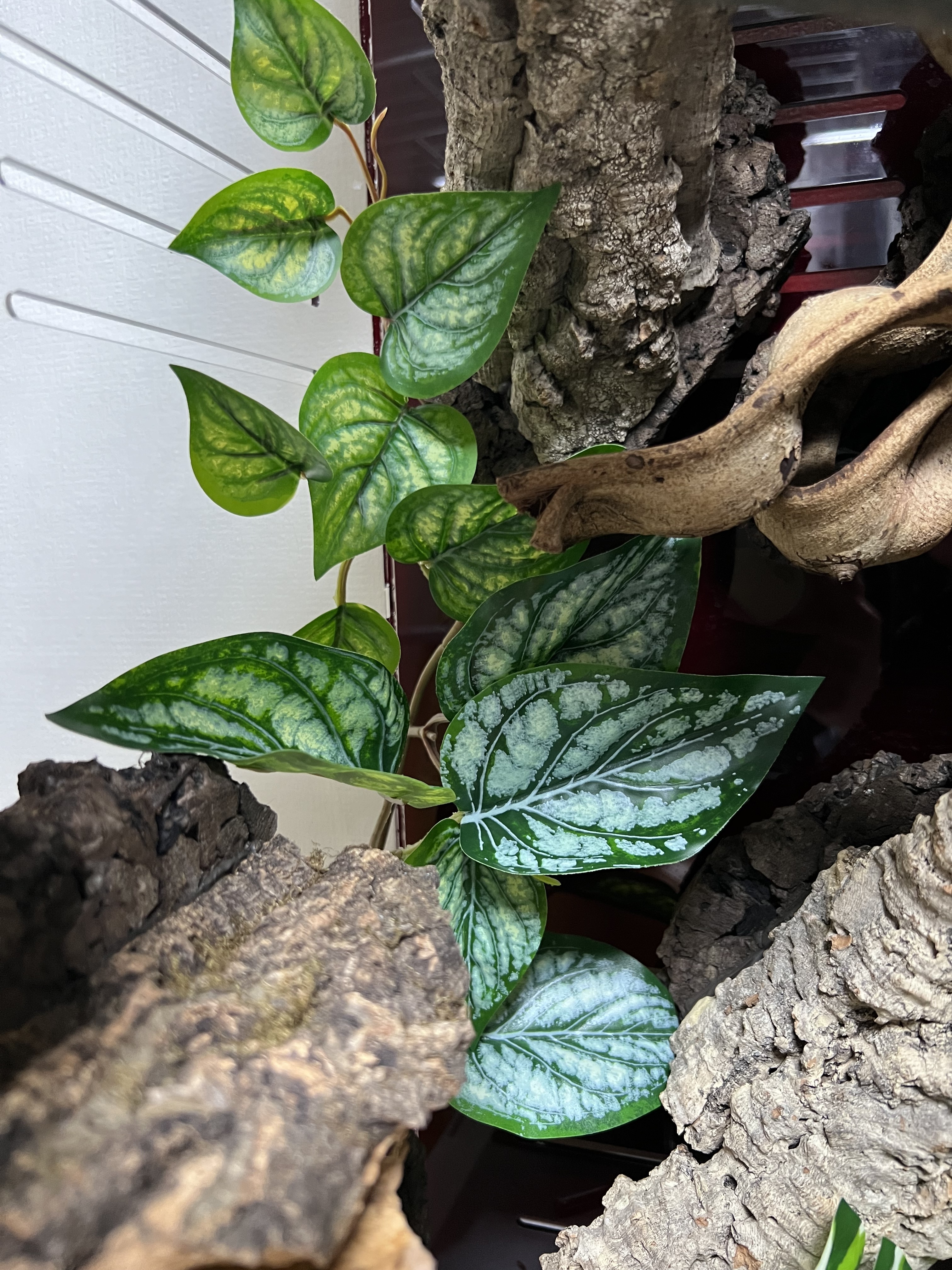 テラブロック フィロデンドロン 人工観葉ブロック detail 3