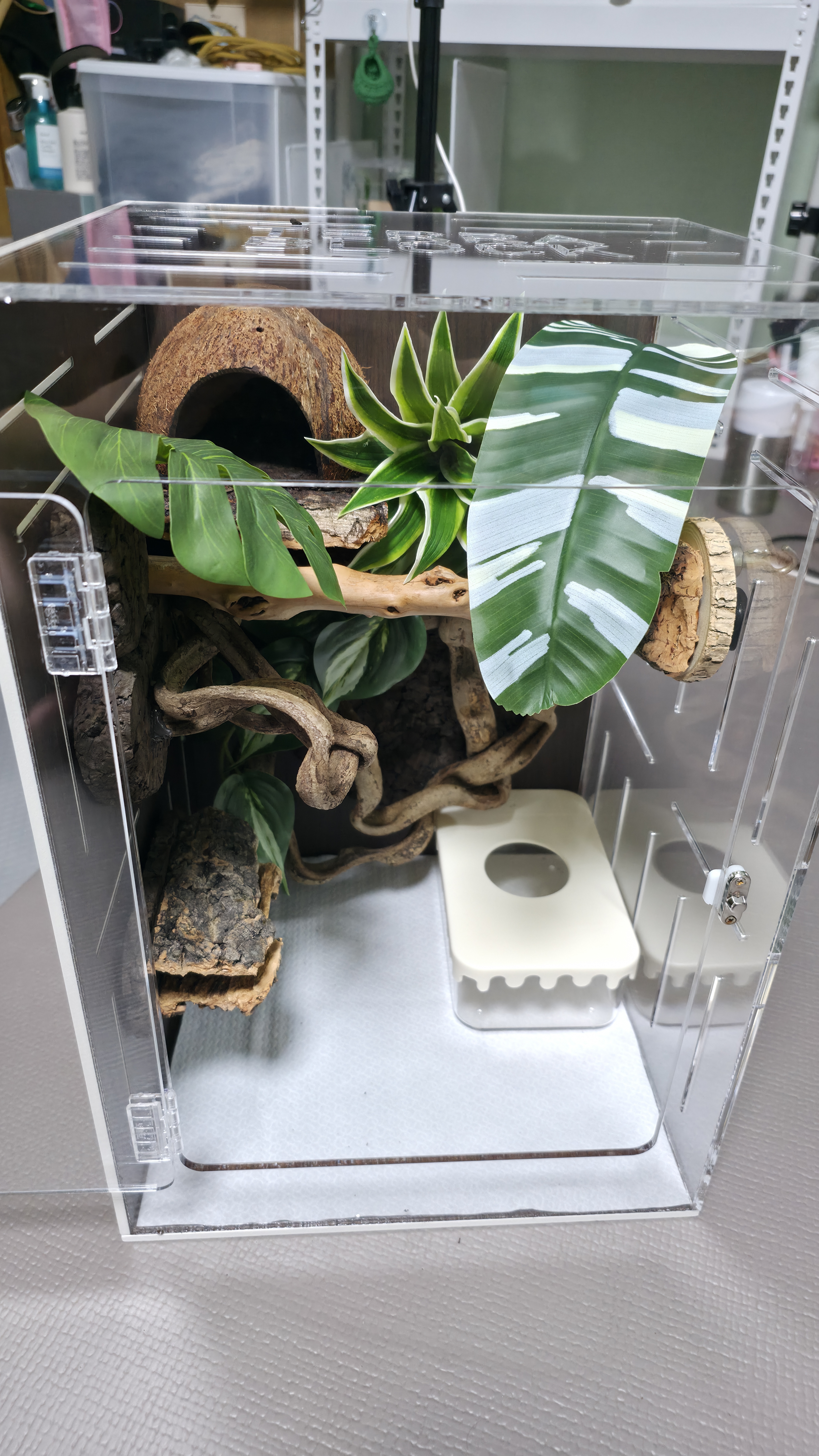 テラブロック ドラセナ 造花ブロック（小 / 中） detail 5