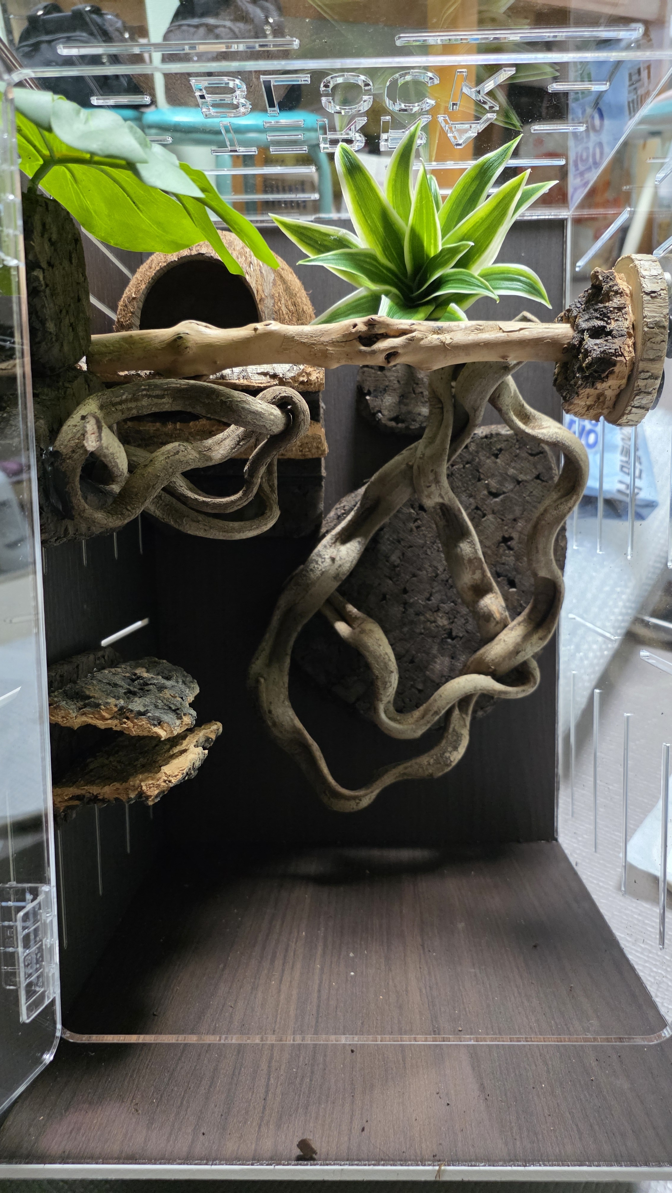 テラブロック ドラセナ 造花ブロック（小 / 中） detail 6