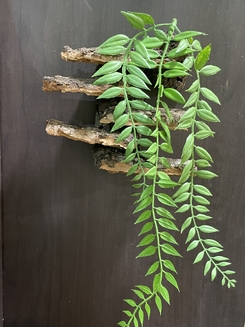 テラブロック 月桂バイン（3連）フェイクプラントブロック detail 2