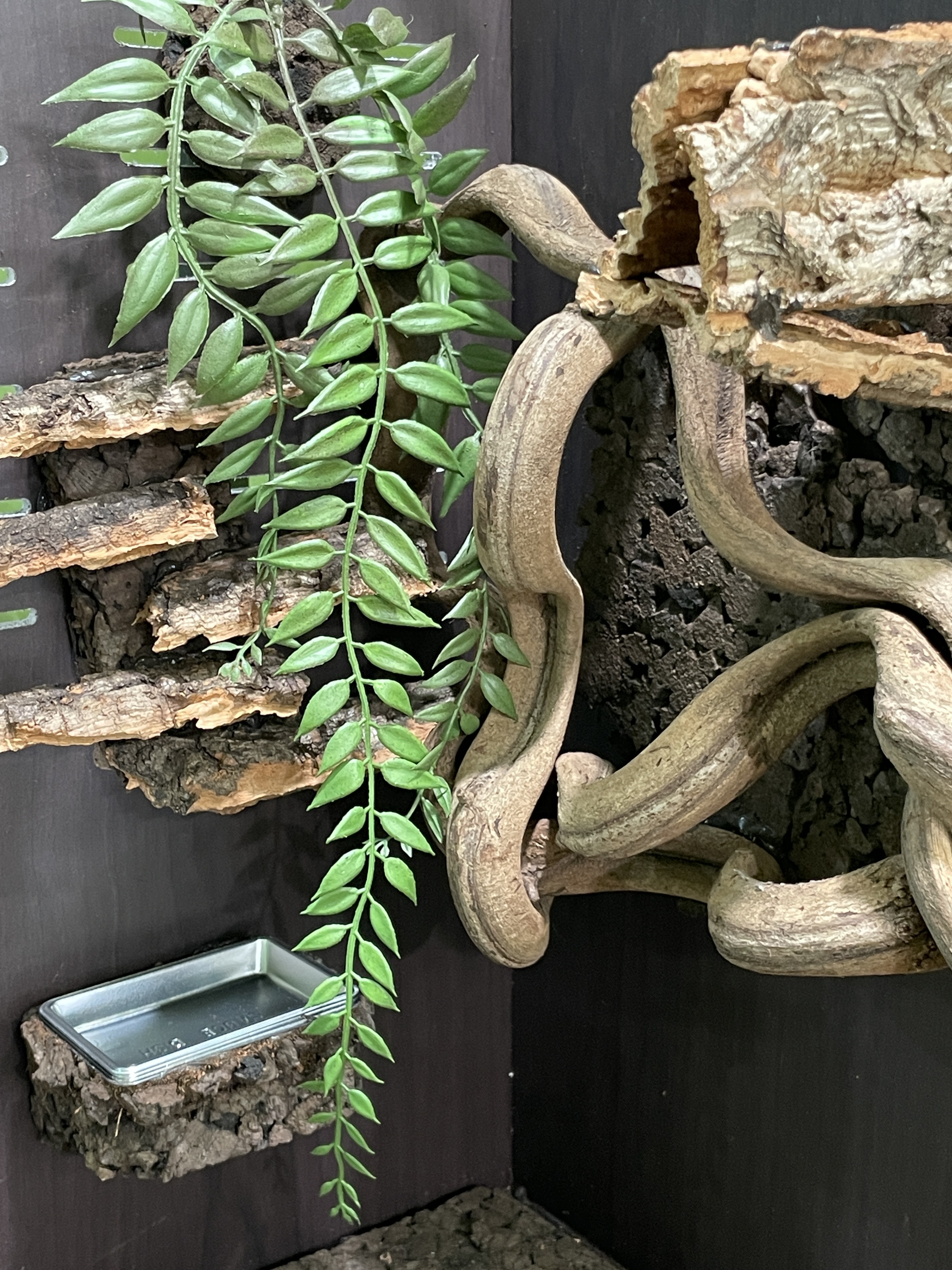 テラブロック 月桂バイン（3連）フェイクプラントブロック detail 4