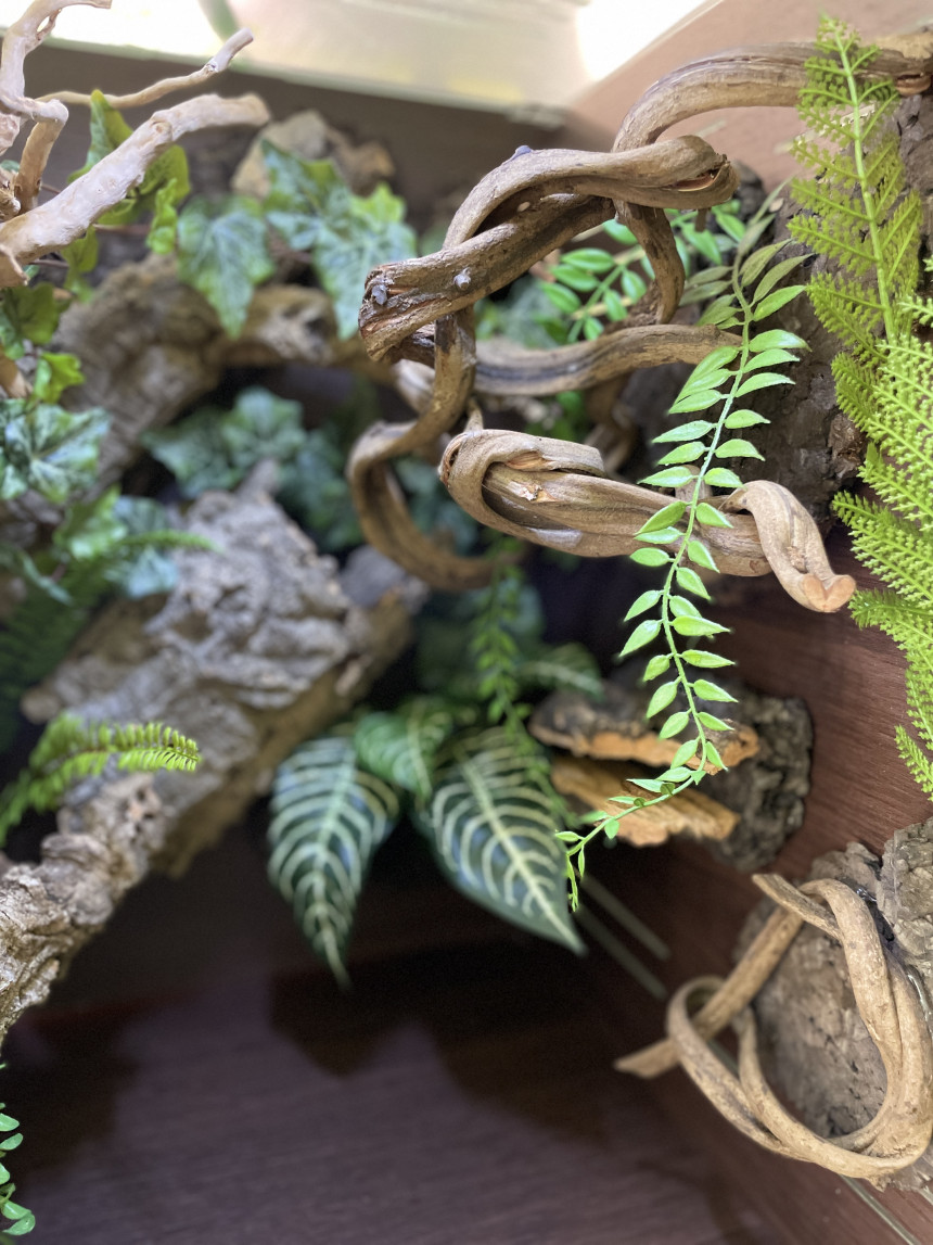 テラブロック シダ（小葉・2ライン）フェイクプラントブロック detail 3