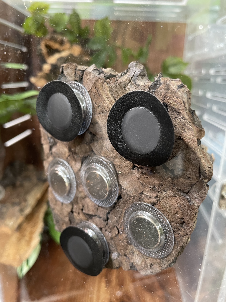 テラブロック固定用 ネオジム ウレタンマグネット 15個セット detail 2