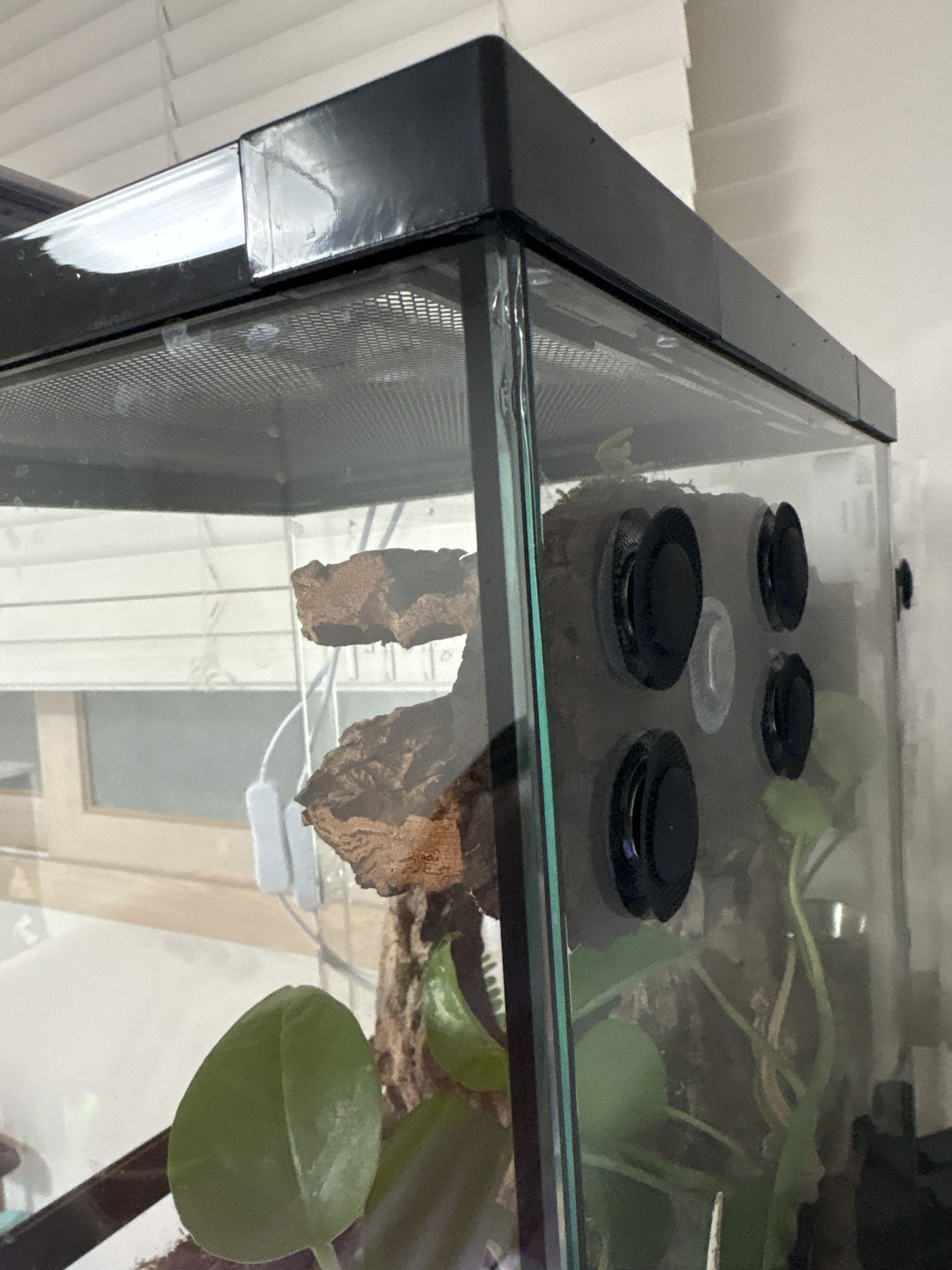 テラブロック固定用 ネオジム ウレタンマグネット 15個セット detail 4