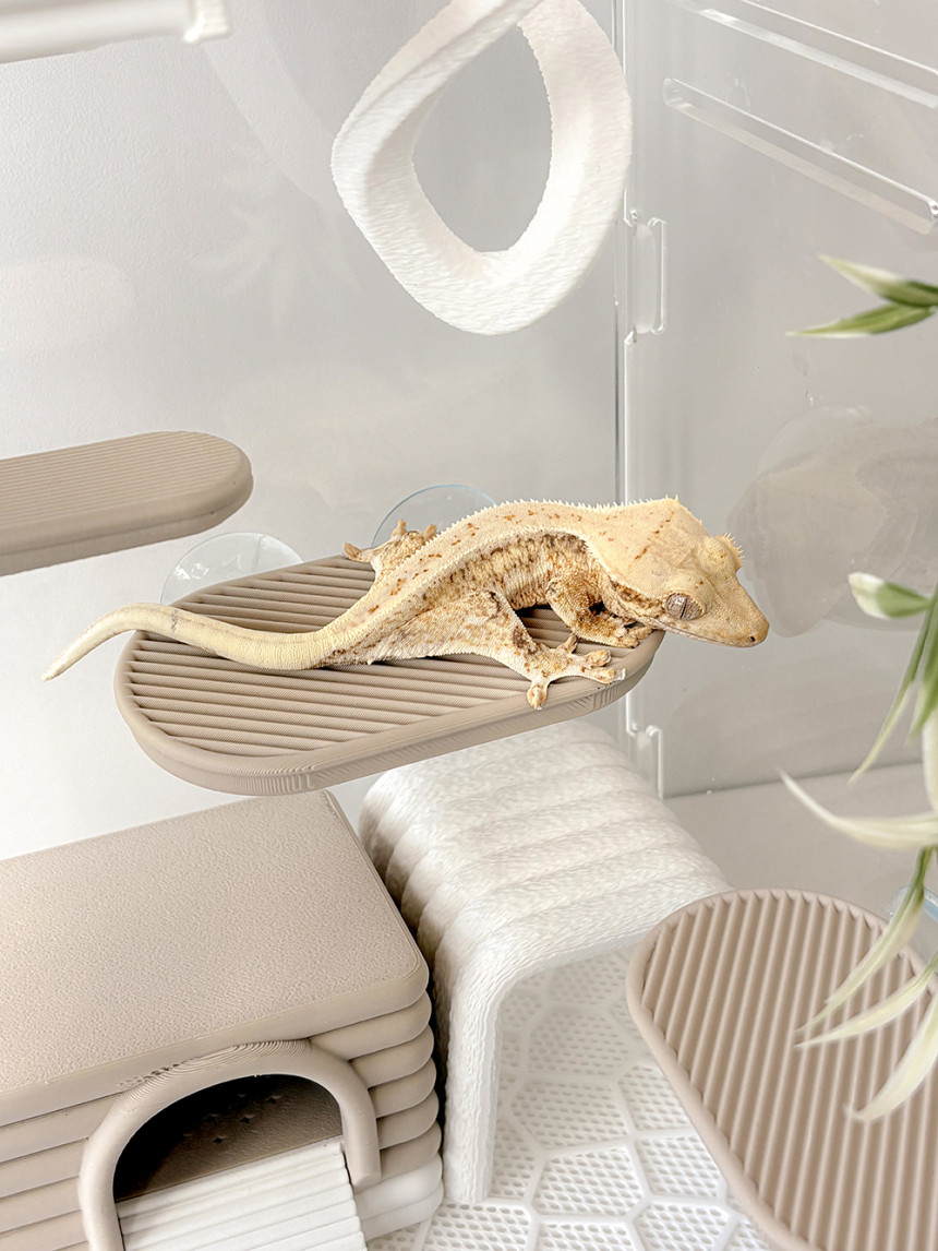 Hamdal モノプラットフォーム detail 4