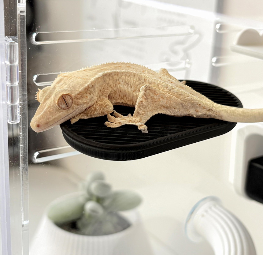 Hamdal モノプラットフォーム detail 5