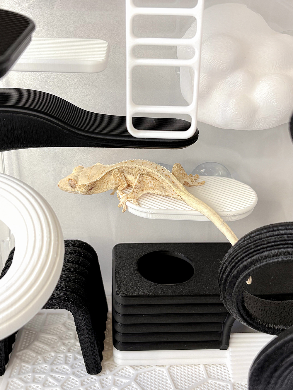 Hamdal モノプラットフォーム detail 6