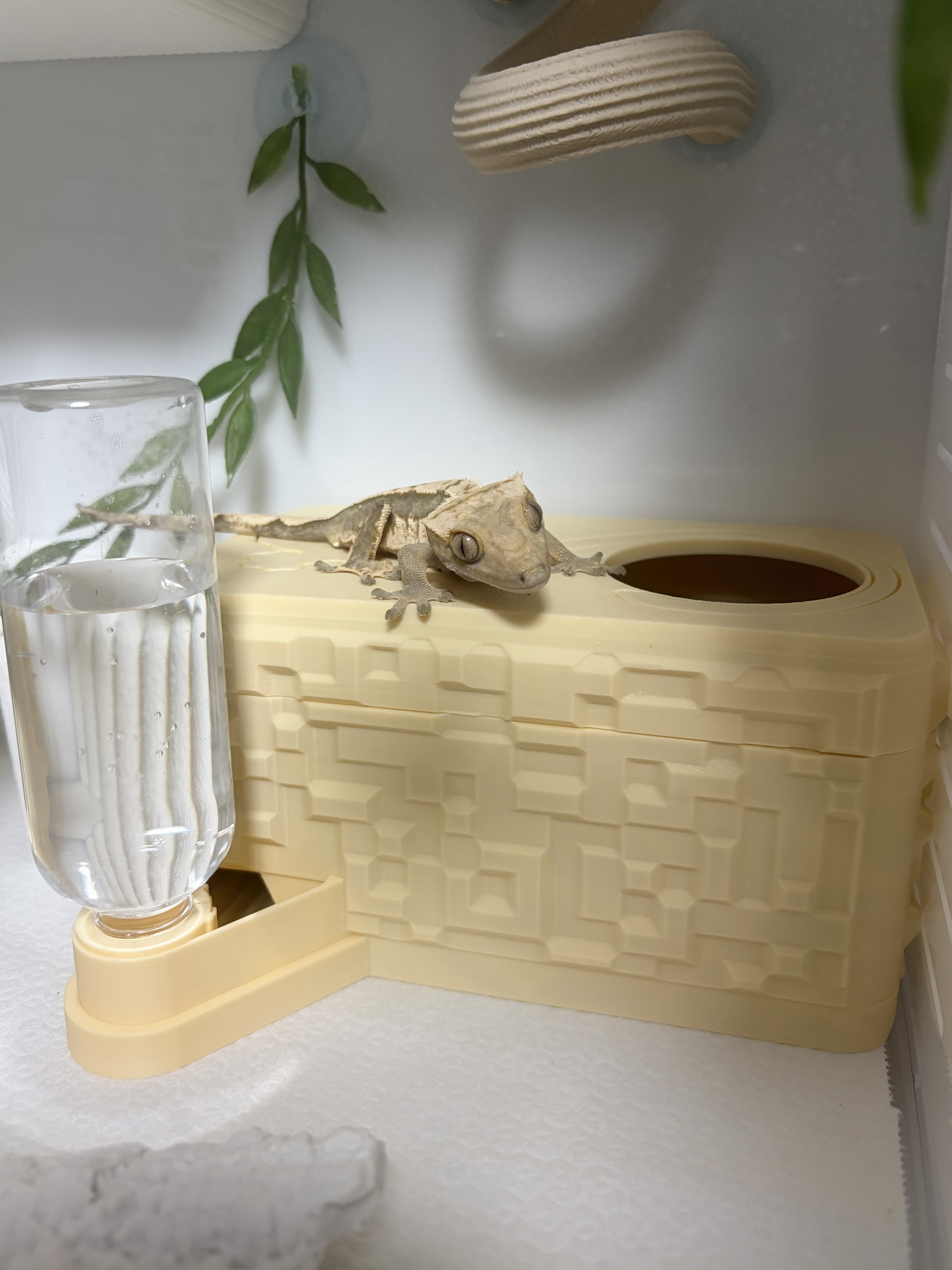 Hamdal 水苔ウェットシェルター detail 2