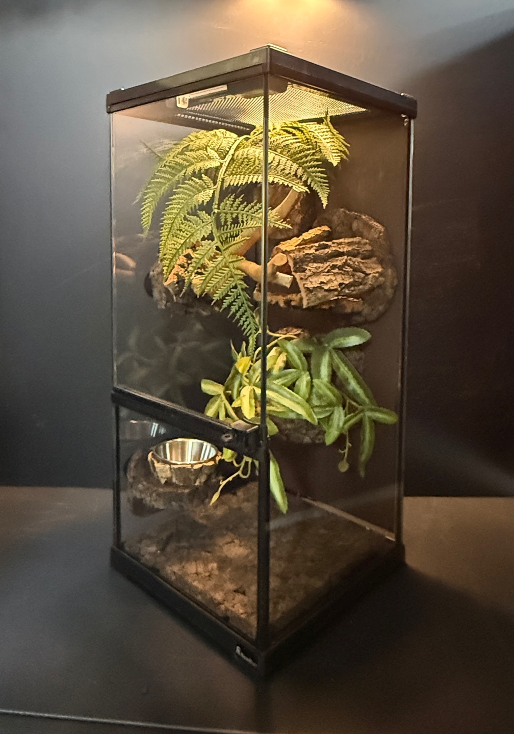 Terrablock x Neuron Terrarium Collaboration Enclosure Set detail 2