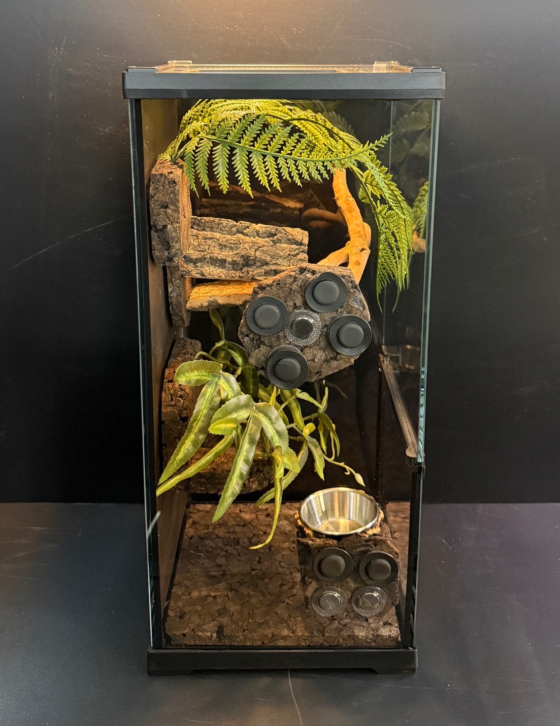 Terrablock x Neuron Terrarium Collaboration Enclosure Set detail 5